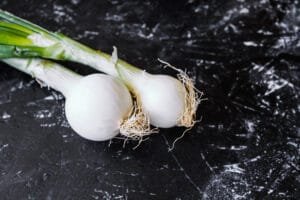 Spring onion or scallion
