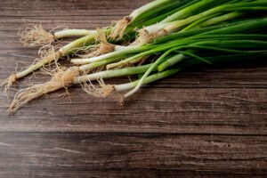 Spring onion or scallion