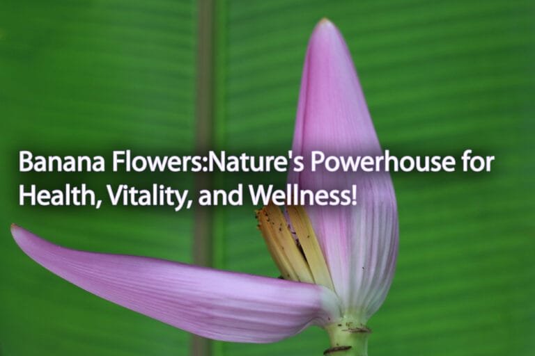 banana flower