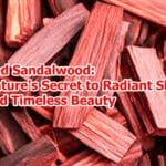 Red Sandalwood