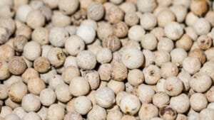 White Pepper
