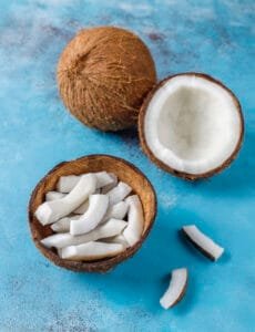 Dry Coconut